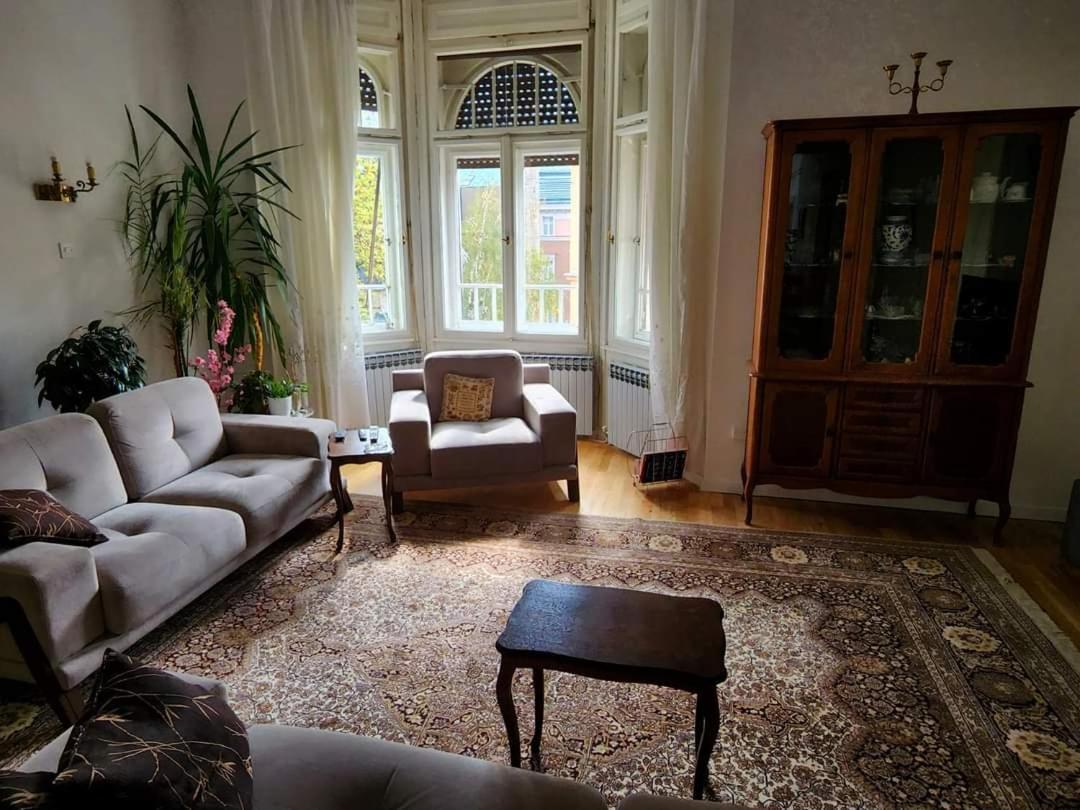The Best Location Salon Apartment With Main Street View 塞拉耶佛 外观 照片