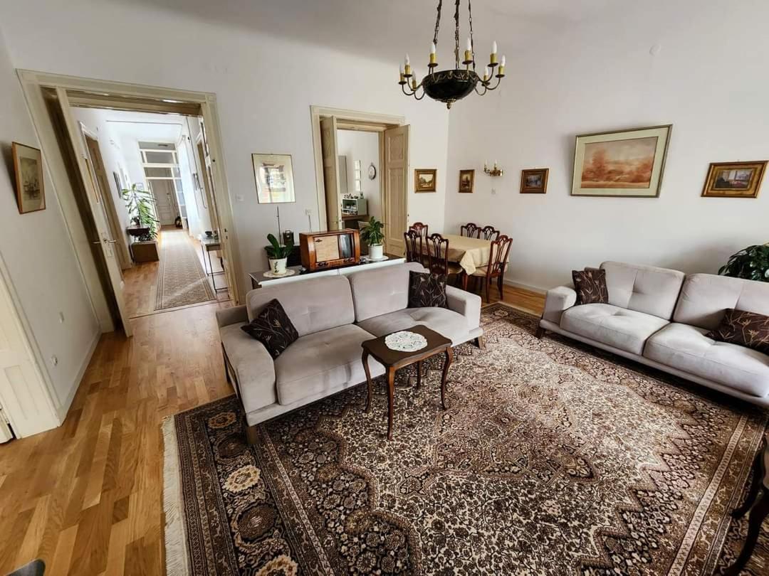 The Best Location Salon Apartment With Main Street View 塞拉耶佛 外观 照片