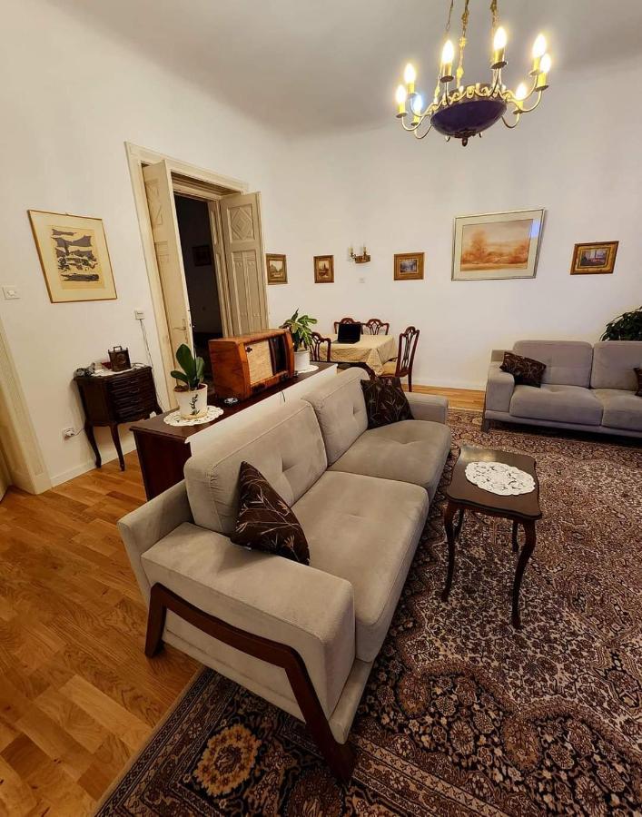 The Best Location Salon Apartment With Main Street View 塞拉耶佛 外观 照片