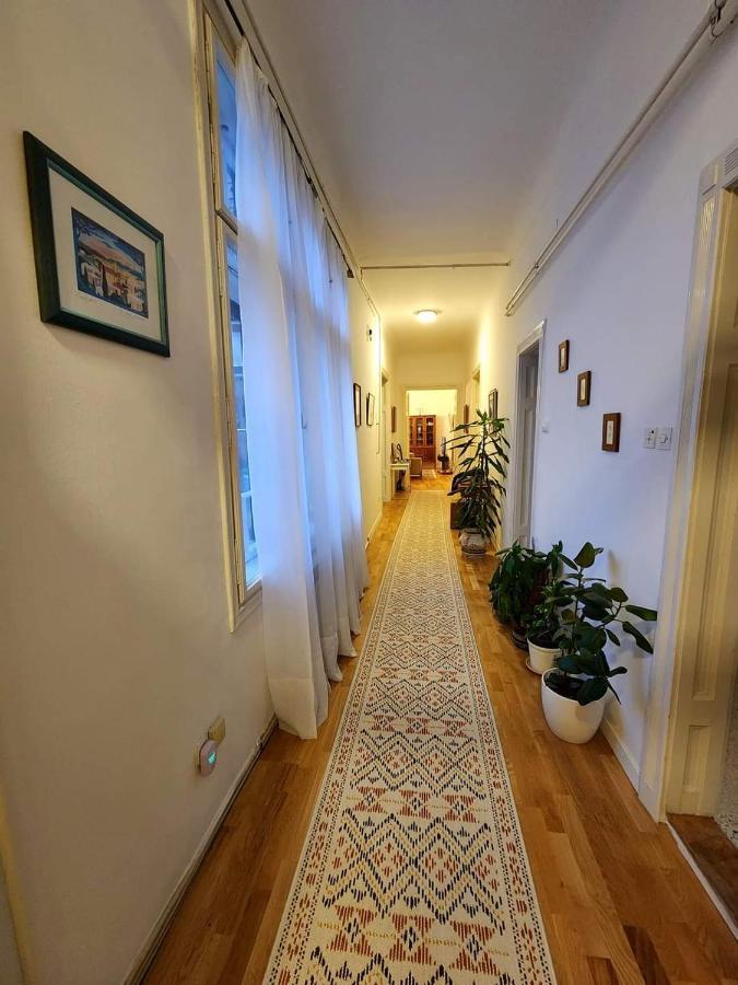 The Best Location Salon Apartment With Main Street View 塞拉耶佛 外观 照片