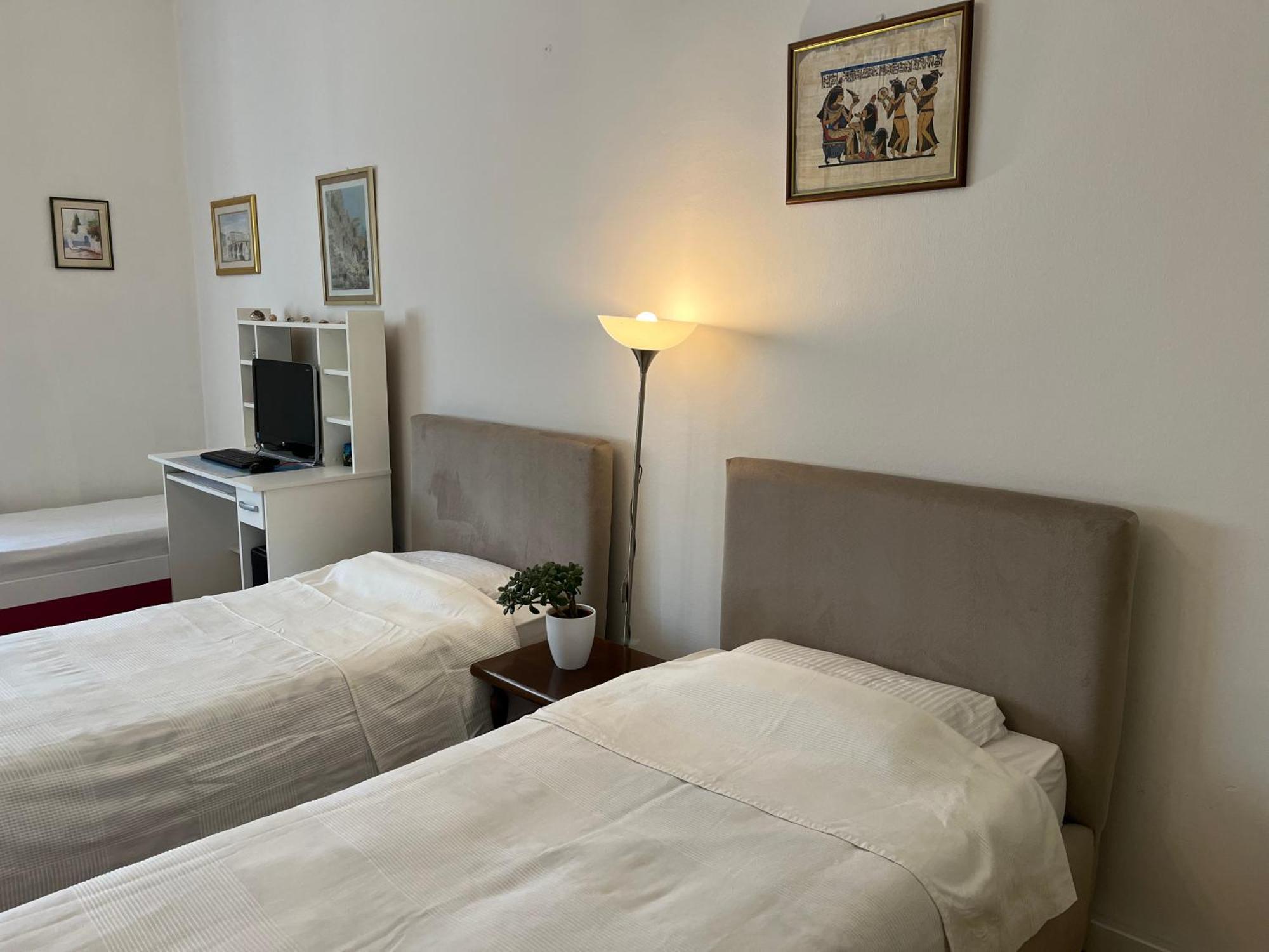 The Best Location Salon Apartment With Main Street View 塞拉耶佛 外观 照片