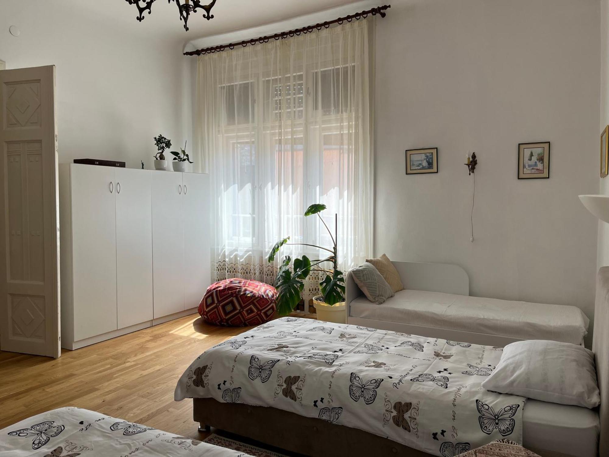 The Best Location Salon Apartment With Main Street View 塞拉耶佛 外观 照片